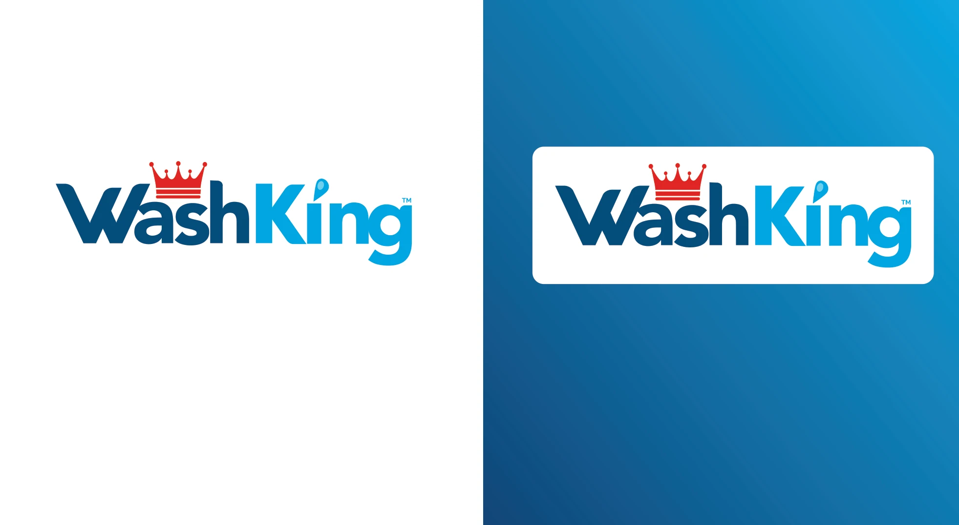 Horizontal WashKing logo variants on light and blue backgrounds