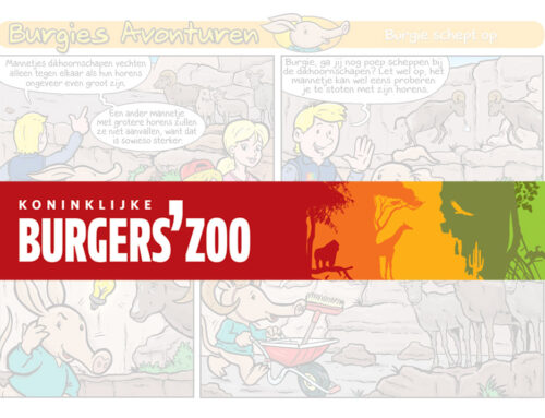 Burgers Zoo: Burgie strips